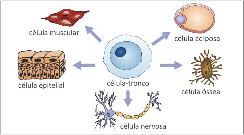 Screenshot 2025-06-27 at 13.14.56.png